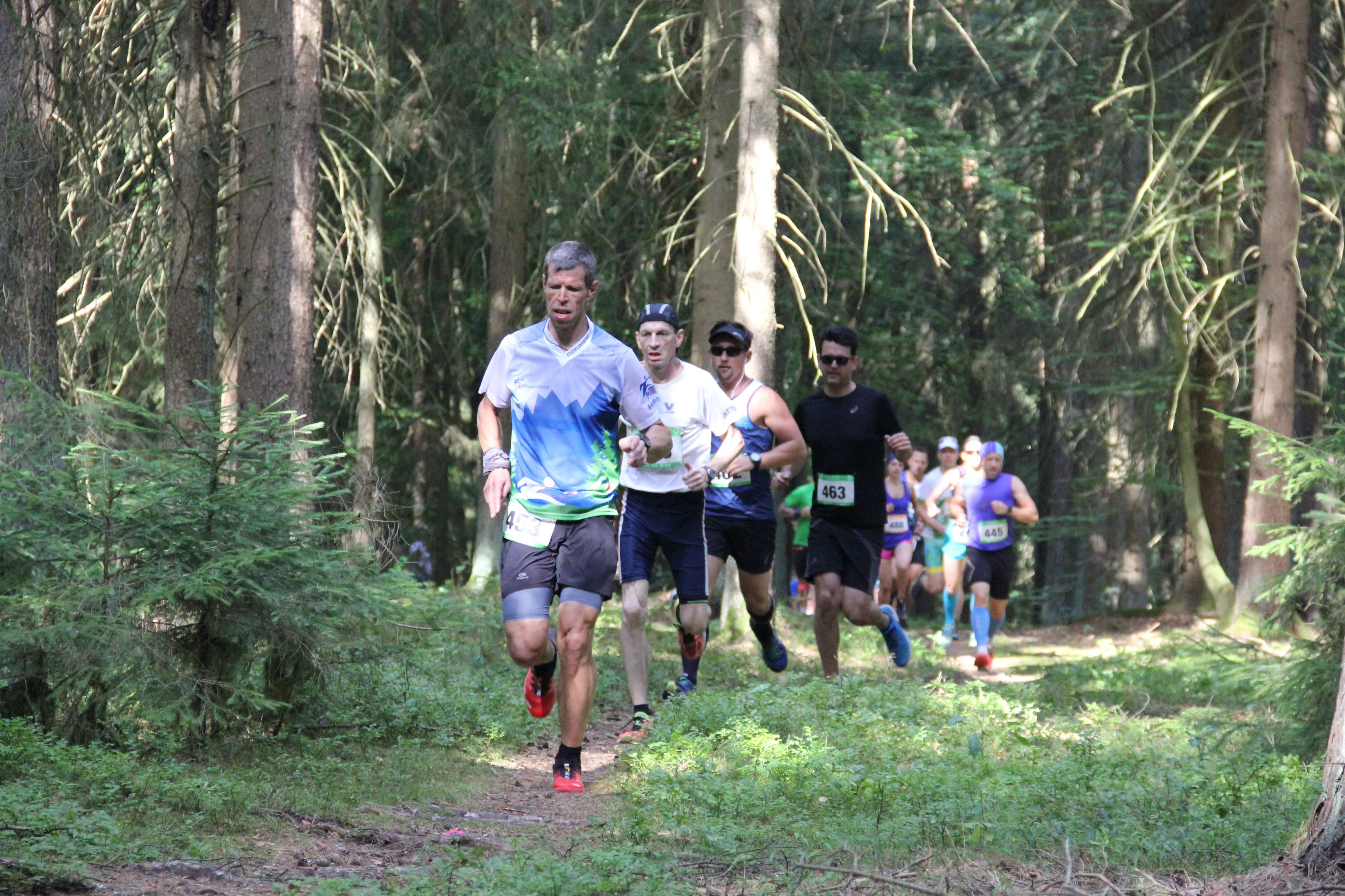 Trail Run Bernhardswald